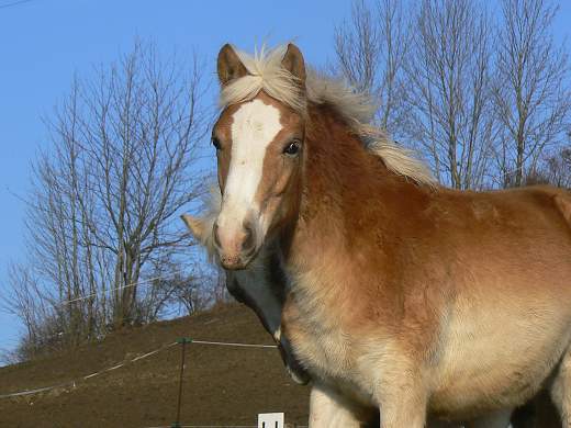 img00001.jpg